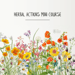 Herbal Actions Mini Course