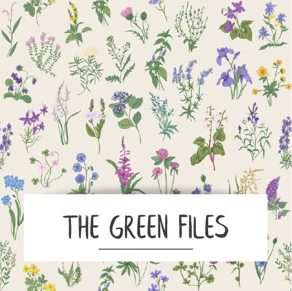 The Green Files – The Green Guild