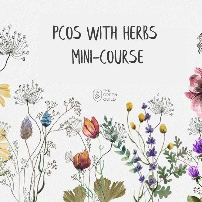 PCOS with herbs course