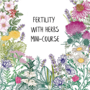 Fertility With Herbs Mini-Course