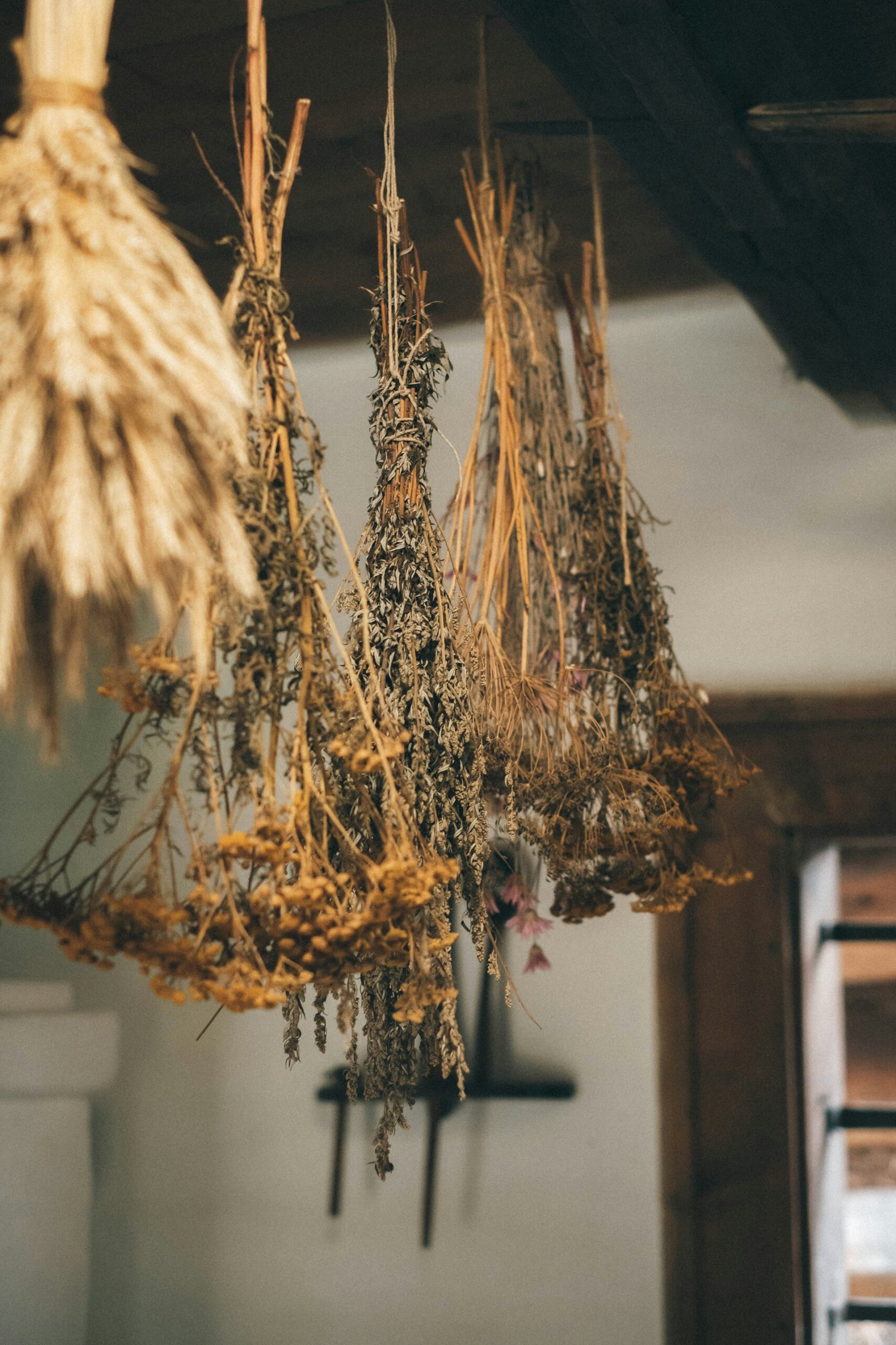 Dried herb bundles hanging to dry