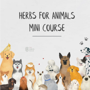 Herbs For Animals Foundations Mini Course