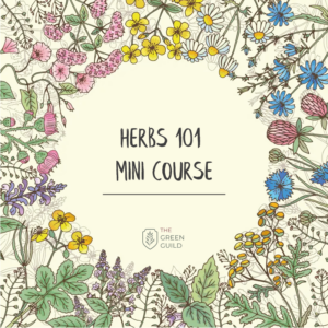 Herbs 101 Mini-Course