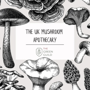 The UK Mushroom Apothecary