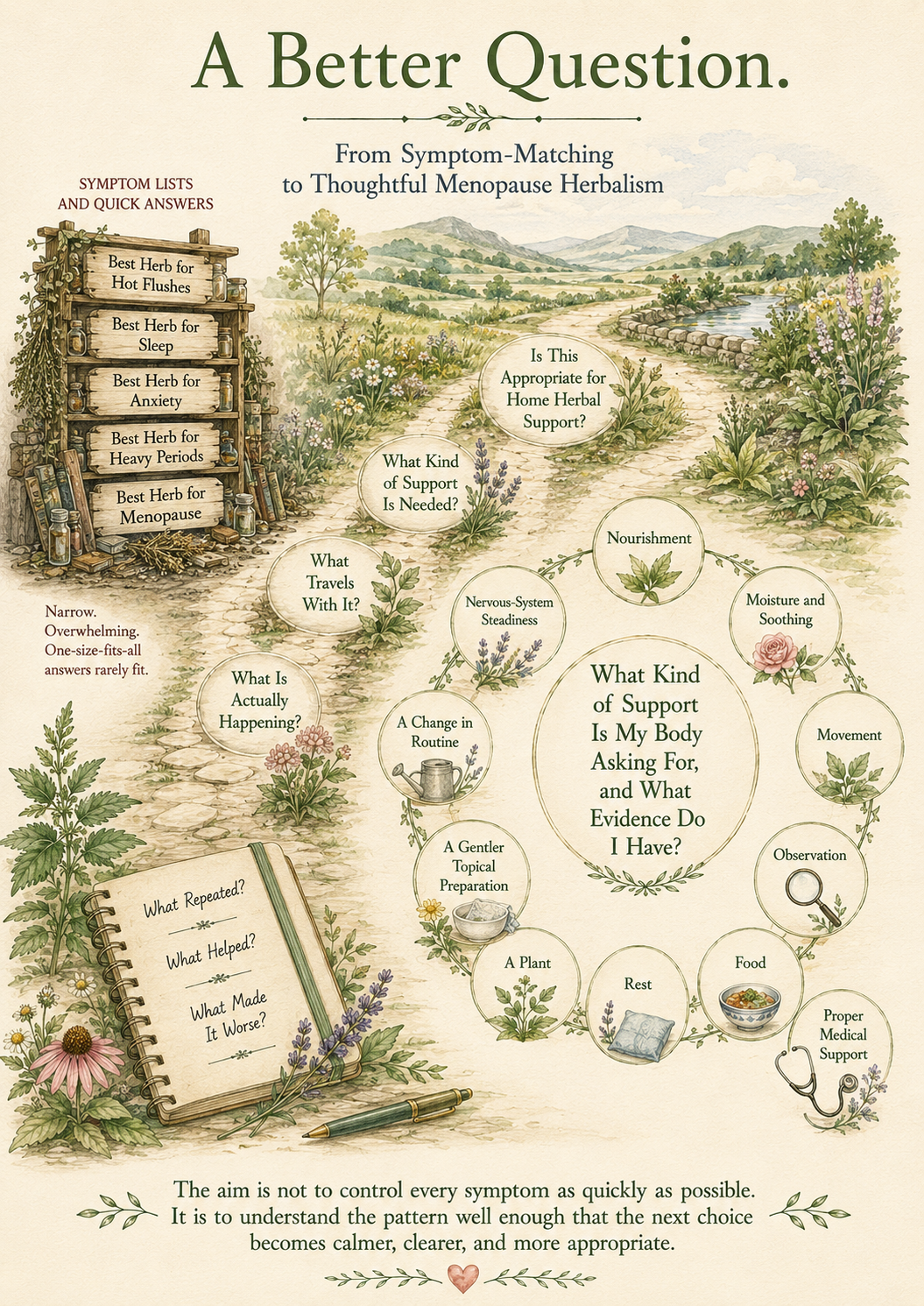 An illustrated diagram titled A Better Question, subtitled From Symptom-Matching to Thoughtful Menopause Herbalism. On the left, a shelf of symptom lists and quick answers labelled best herb for hot flushes, best herb for sleep, best herb for anxiety, best herb for heavy periods, best herb for menopause, with a note: Narrow. Overwhelming. One-size-fits-all answers rarely fit. A central path leads through four observational questions: What Is Actually Happening, What Travels With It, What Kind of Support Is Needed, Is This Appropriate for Home Herbal Support. From the support question, branches lead outward to nourishment, nervous-system steadiness, moisture and soothing, movement, a change in routine, a gentler topical preparation, a plant, rest, food, observation, and proper medical support. A notebook shows: What Repeated? What Helped? What Made It Worse? A central note reads: What Kind of Support Is My Body Asking For, and What Evidence Do I Have? A footer reads: The aim is not to control every symptom as quickly as possible. It is to understand the pattern well enough that the next choice becomes calmer, clearer, and more appropriate.