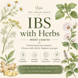 IBS mini course
