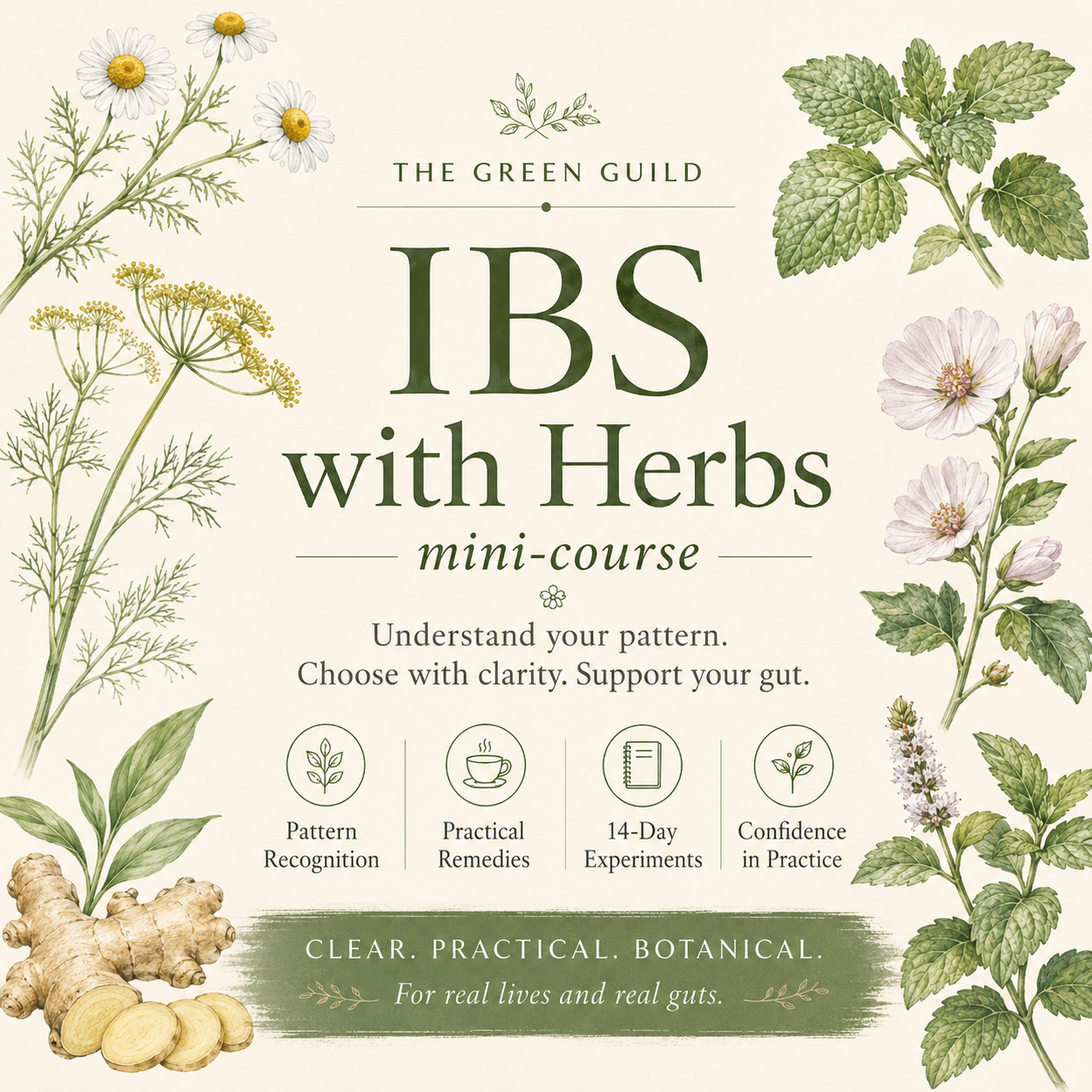 IBS mini course